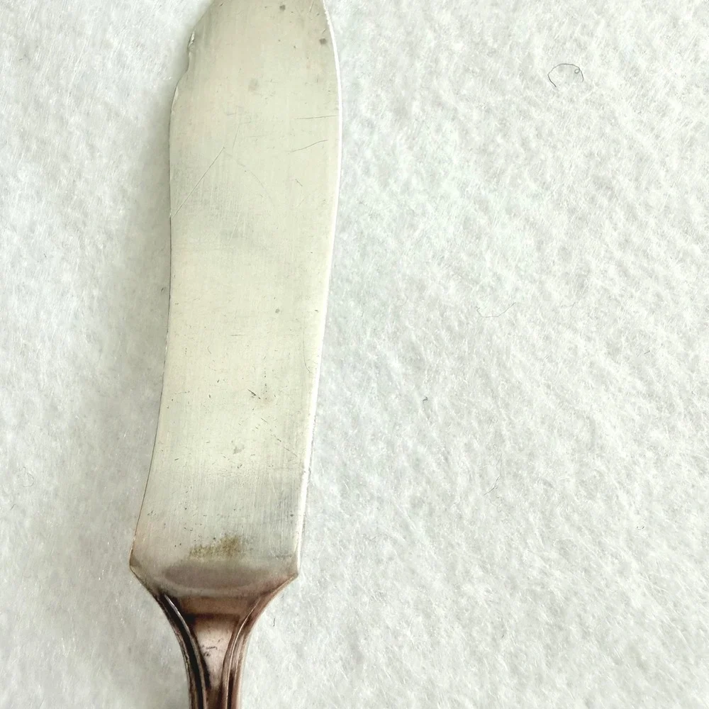 Antique Holmes & Edwards XII Silverplate Butter Knife 1920 Monogram‎ D